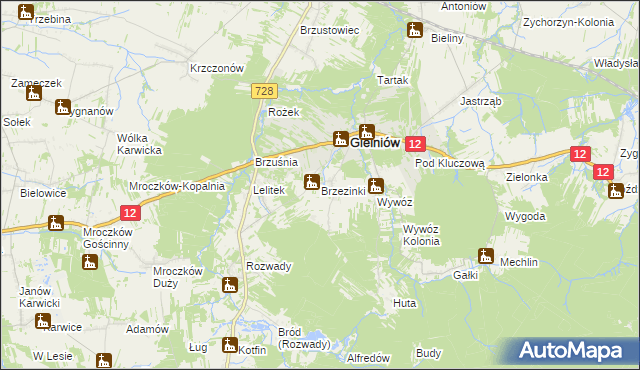 mapa Brzezinki gmina Gielniów, Brzezinki gmina Gielniów na mapie Targeo