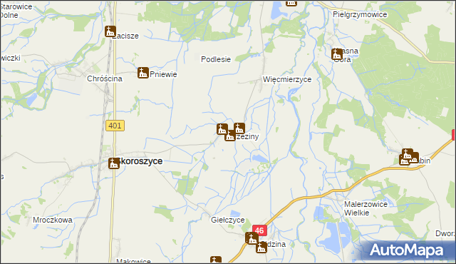 mapa Brzeziny gmina Skoroszyce, Brzeziny gmina Skoroszyce na mapie Targeo