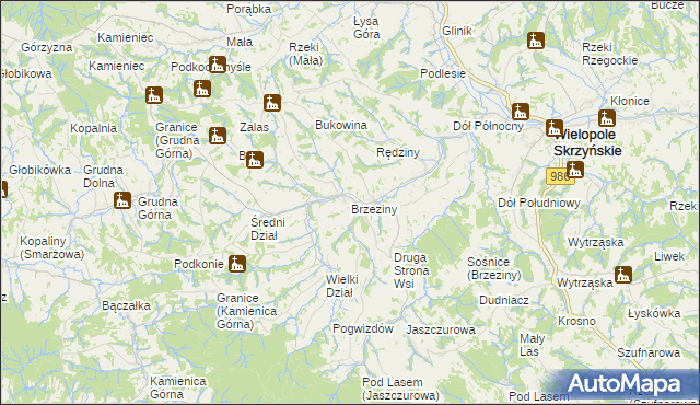 mapa Brzeziny gmina Wielopole Skrzyńskie, Brzeziny gmina Wielopole Skrzyńskie na mapie Targeo