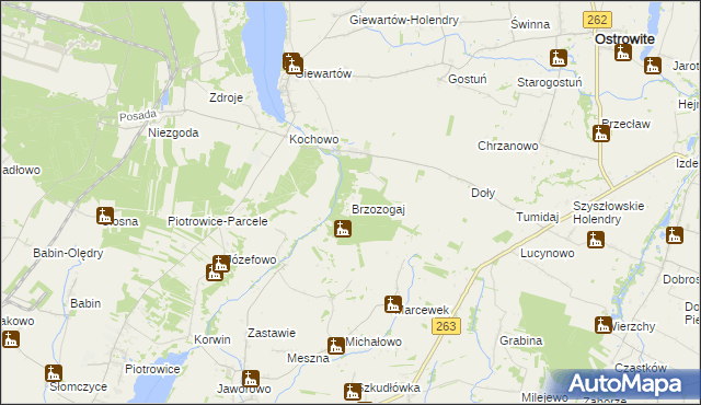 mapa Brzozogaj gmina Ostrowite, Brzozogaj gmina Ostrowite na mapie Targeo