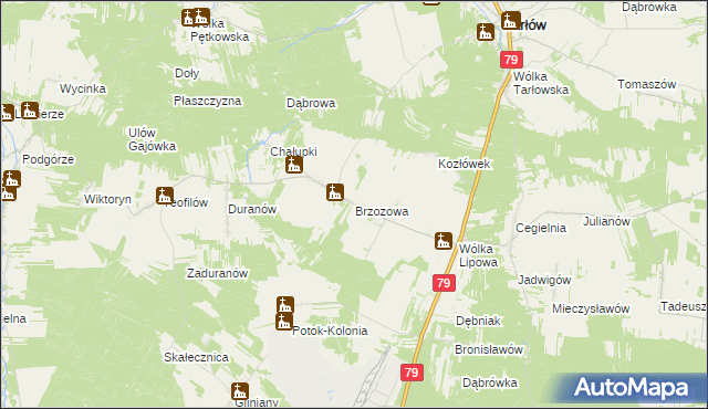 mapa Brzozowa gmina Tarłów, Brzozowa gmina Tarłów na mapie Targeo