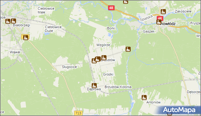 mapa Brzustów gmina Inowłódz, Brzustów gmina Inowłódz na mapie Targeo