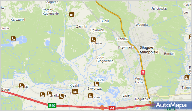 mapa Budy Głogowskie, Budy Głogowskie na mapie Targeo