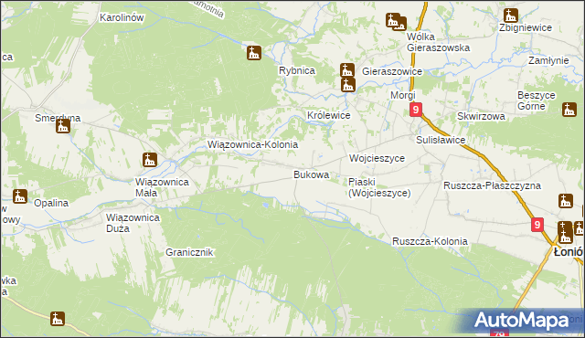 mapa Bukowa gmina Osiek, Bukowa gmina Osiek na mapie Targeo