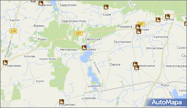 mapa Buszewko gmina Pniewy, Buszewko gmina Pniewy na mapie Targeo