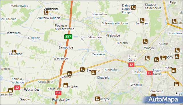 mapa Cerekiew gmina Zakrzew, Cerekiew gmina Zakrzew na mapie Targeo