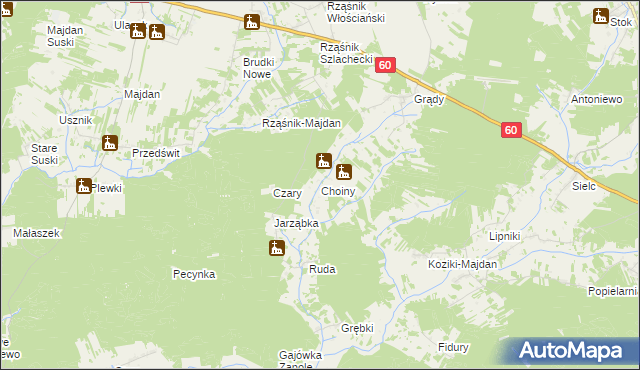 mapa Choiny gmina Wąsewo, Choiny gmina Wąsewo na mapie Targeo