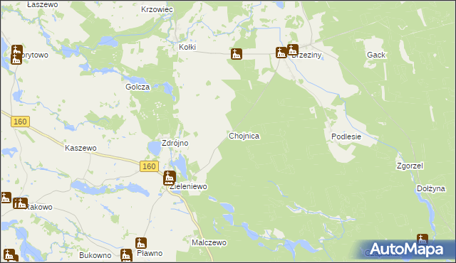 mapa Chojnica gmina Bierzwnik, Chojnica gmina Bierzwnik na mapie Targeo