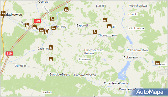 mapa Choroszczewo Kolonia, Choroszczewo Kolonia na mapie Targeo