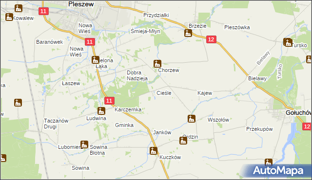 mapa Cieśle gmina Gołuchów, Cieśle gmina Gołuchów na mapie Targeo