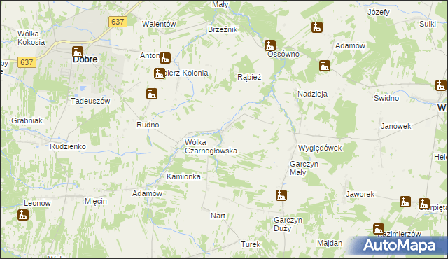 mapa Czarnogłów, Czarnogłów na mapie Targeo