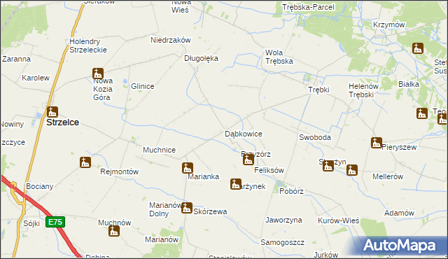 mapa Dąbkowice gmina Strzelce, Dąbkowice gmina Strzelce na mapie Targeo