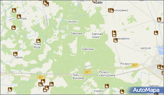 mapa Dąbrowa gmina Opalenica, Dąbrowa gmina Opalenica na mapie Targeo