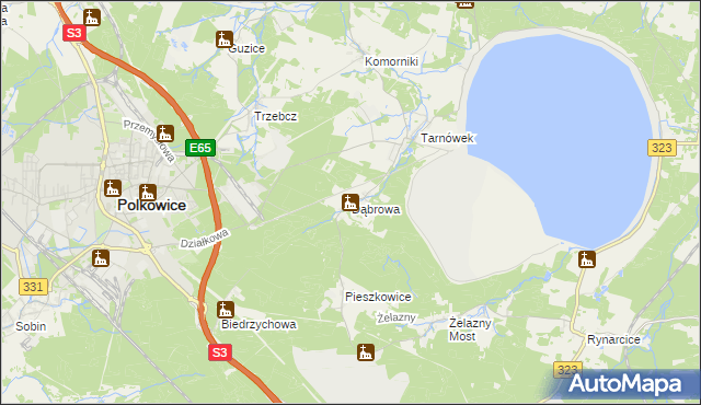 mapa Dąbrowa gmina Polkowice, Dąbrowa gmina Polkowice na mapie Targeo