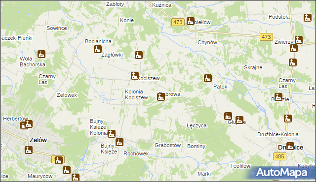 mapa Dąbrowa gmina Zelów, Dąbrowa gmina Zelów na mapie Targeo