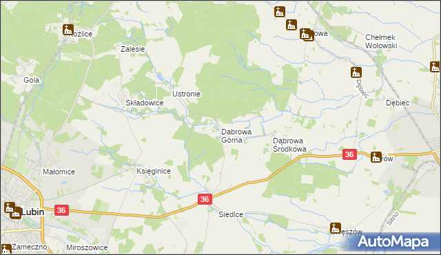 mapa Dąbrowa Górna gmina Lubin, Dąbrowa Górna gmina Lubin na mapie Targeo