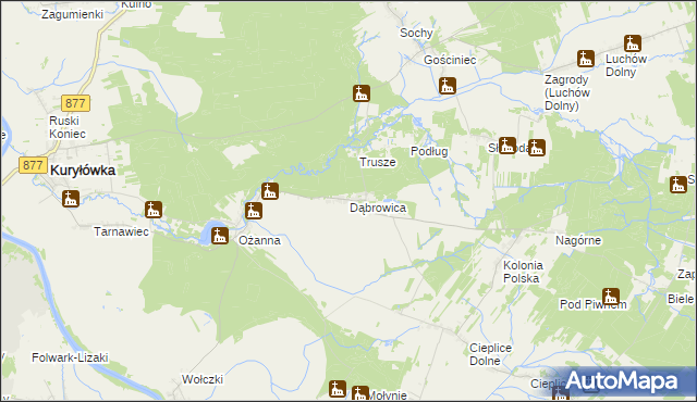 mapa Dąbrowica gmina Kuryłówka, Dąbrowica gmina Kuryłówka na mapie Targeo