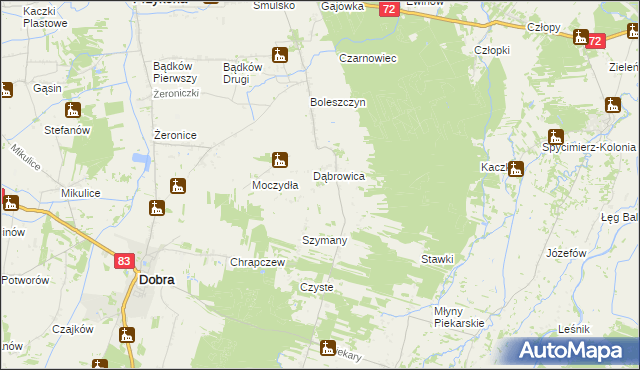 mapa Dąbrowica-Kolonia, Dąbrowica-Kolonia na mapie Targeo