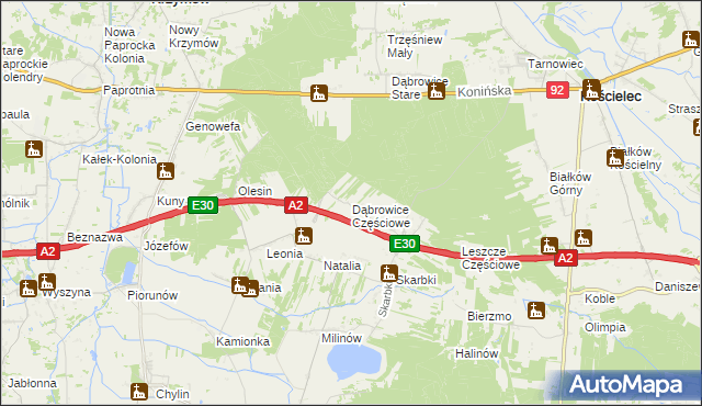 mapa Dąbrowice Częściowe, Dąbrowice Częściowe na mapie Targeo