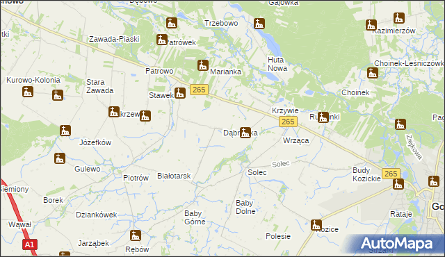 mapa Dąbrówka gmina Gostynin, Dąbrówka gmina Gostynin na mapie Targeo