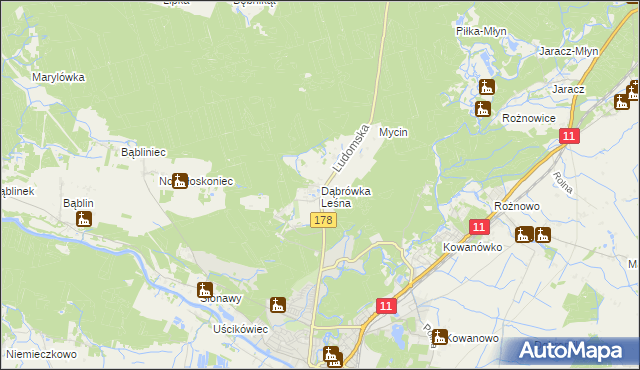 mapa Dąbrówka Leśna, Dąbrówka Leśna na mapie Targeo