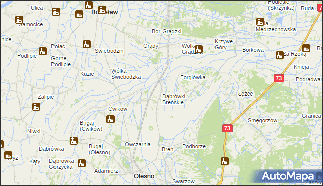 mapa Dąbrówki Breńskie, Dąbrówki Breńskie na mapie Targeo