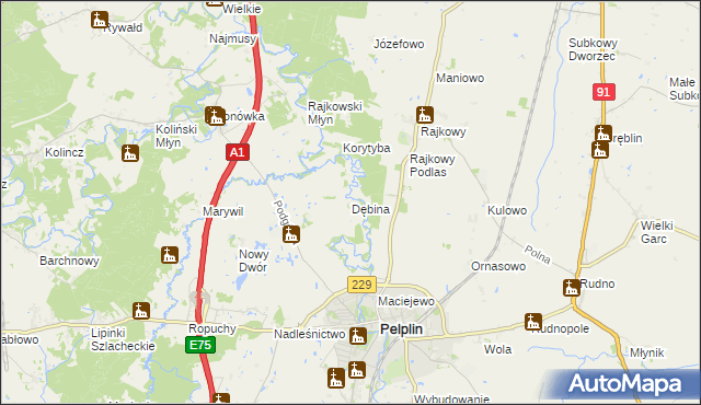 mapa Dębina gmina Pelplin, Dębina gmina Pelplin na mapie Targeo