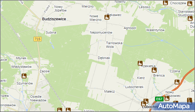 mapa Dębniak gmina Lubochnia, Dębniak gmina Lubochnia na mapie Targeo