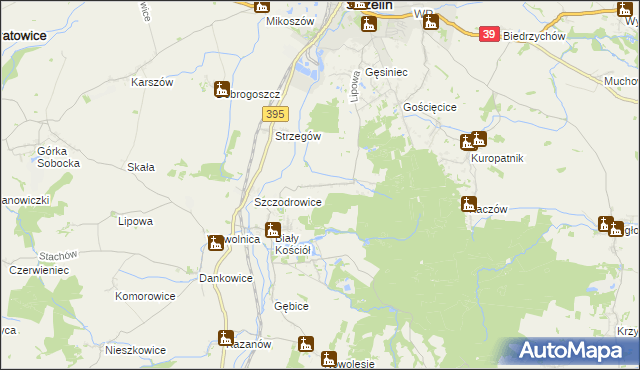 mapa Dębniki gmina Strzelin, Dębniki gmina Strzelin na mapie Targeo