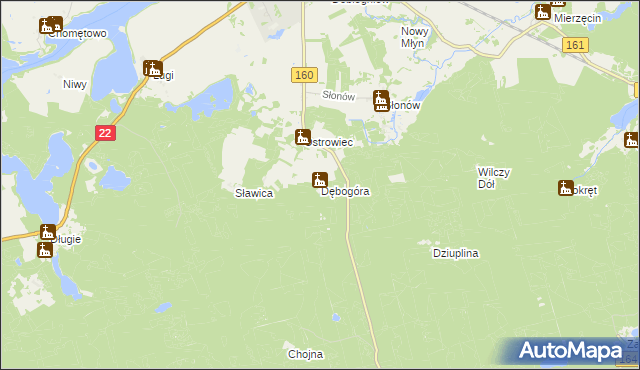 mapa Dębogóra gmina Dobiegniew, Dębogóra gmina Dobiegniew na mapie Targeo