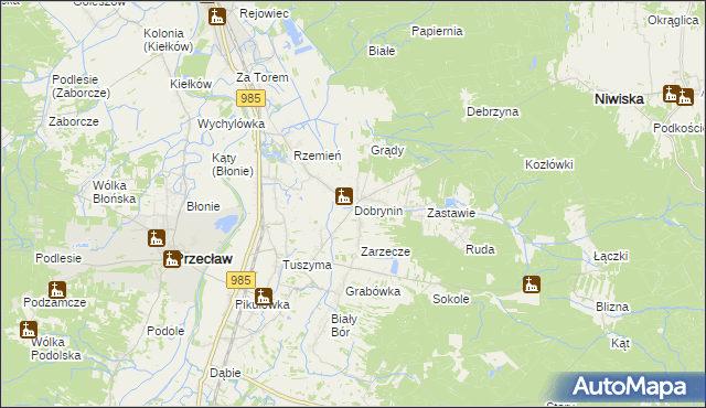 mapa Dobrynin, Dobrynin na mapie Targeo