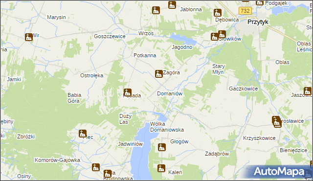 mapa Domaniów gmina Przytyk, Domaniów gmina Przytyk na mapie Targeo