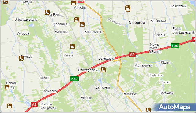 mapa Dzierzgów gmina Nieborów, Dzierzgów gmina Nieborów na mapie Targeo