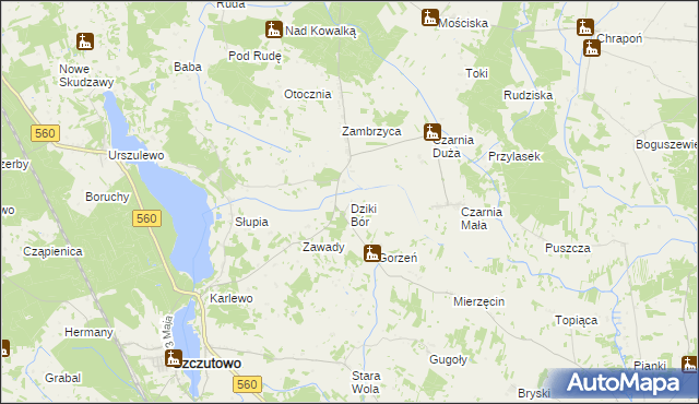 mapa Dziki Bór, Dziki Bór na mapie Targeo