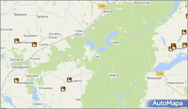 mapa Gaj gmina Biskupiec, Gaj gmina Biskupiec na mapie Targeo