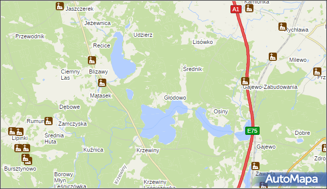 mapa Głodowo gmina Nowe, Głodowo gmina Nowe na mapie Targeo