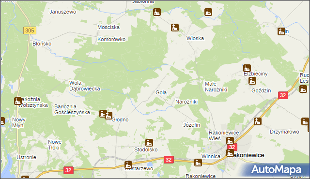 mapa Gola gmina Rakoniewice, Gola gmina Rakoniewice na mapie Targeo