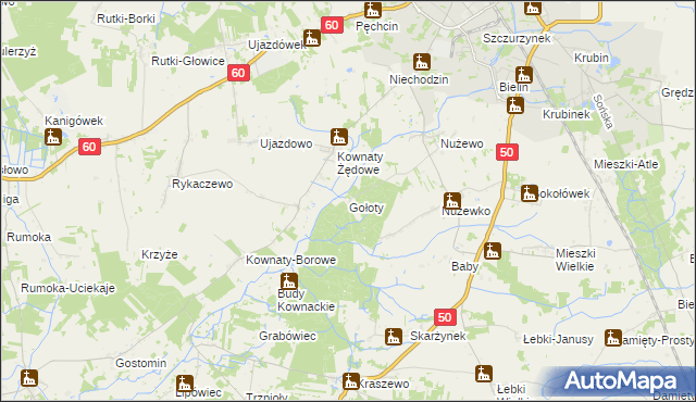 mapa Gołoty gmina Ciechanów, Gołoty gmina Ciechanów na mapie Targeo