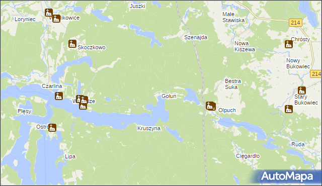 mapa Gołuń gmina Kościerzyna, Gołuń gmina Kościerzyna na mapie Targeo