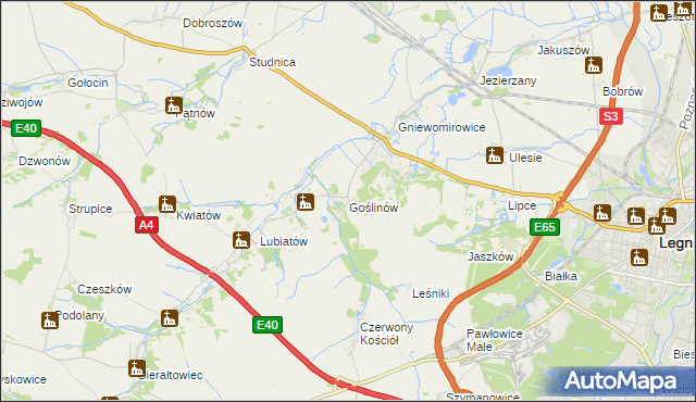 mapa Goślinów, Goślinów na mapie Targeo