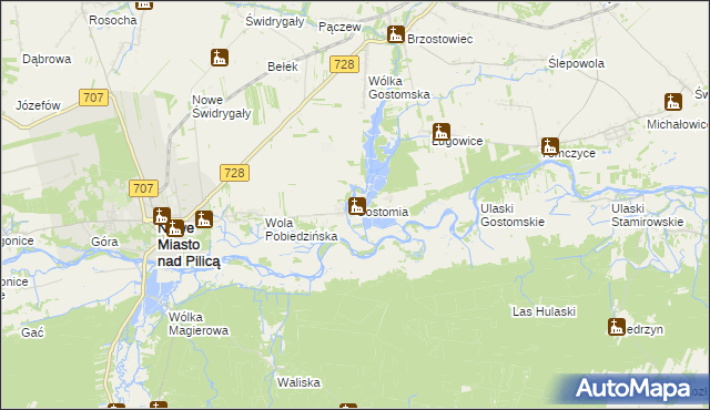 mapa Gostomia gmina Nowe Miasto nad Pilicą, Gostomia gmina Nowe Miasto nad Pilicą na mapie Targeo