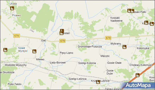 mapa Gronostaje-Puszcza, Gronostaje-Puszcza na mapie Targeo