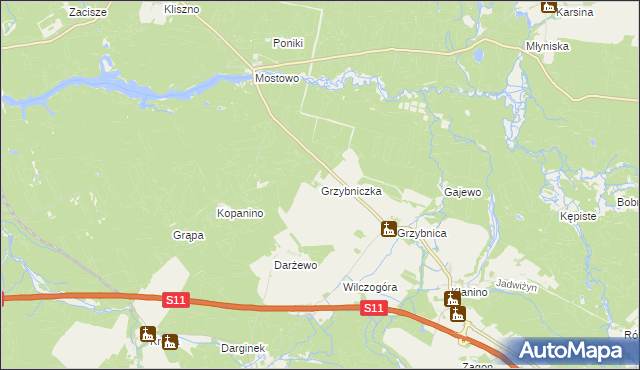 mapa Grzybniczka, Grzybniczka na mapie Targeo