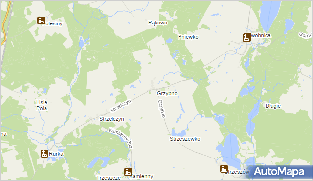 mapa Grzybno gmina Chojna, Grzybno gmina Chojna na mapie Targeo