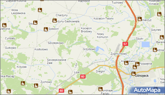 mapa Grzybowo gmina Raciąż, Grzybowo gmina Raciąż na mapie Targeo