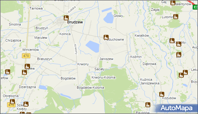 mapa Janiszew gmina Brudzew, Janiszew gmina Brudzew na mapie Targeo