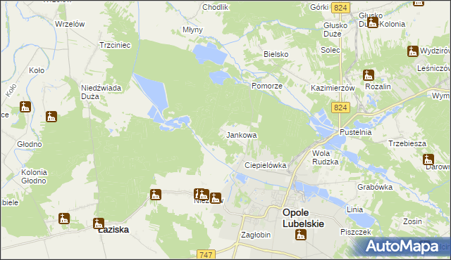 mapa Jankowa gmina Opole Lubelskie, Jankowa gmina Opole Lubelskie na mapie Targeo