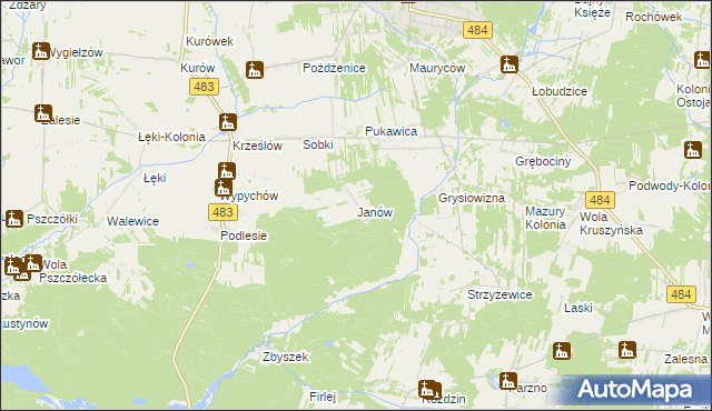 mapa Janów gmina Zelów, Janów gmina Zelów na mapie Targeo