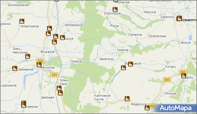 mapa Jasienica gmina Ziębice, Jasienica gmina Ziębice na mapie Targeo