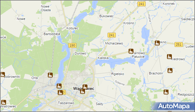 mapa Kaliska gmina Wągrowiec, Kaliska gmina Wągrowiec na mapie Targeo